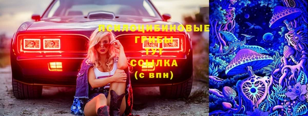 а пвп мука Алзамай